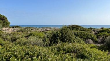 Najlepsza Plaża W Prowincji Malaga - Plaża Cabopino W Marbella