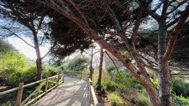 Najlepsza Plaża W Prowincji Malaga - Plaża Cabopino W Marbella