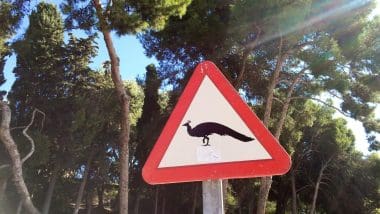 Benalmadena, Centrum Wybrzeża Słońca - Costa Del Sol
