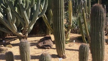 Benalmadena, Centrum Wybrzeża Słońca - Costa Del Sol