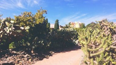 Benalmadena, Centrum Wybrzeża Słońca - Costa Del Sol