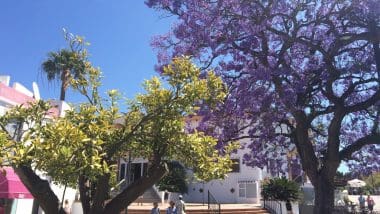 Benalmadena, Centrum Wybrzeża Słońca - Costa Del Sol