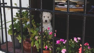 Istan - Andaluzyjskie, Białe Miasteczko Na Wybrzeżu Słońca