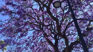 Benalmadena, Centrum Wybrzeża Słońca - Costa Del Sol