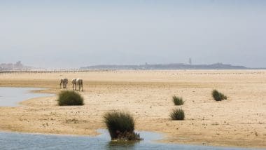 Tarifa - podróż na najbardziej wysunięty na południe punkt Europy!