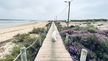 Video | Malowniczy cypel na końcu wyspy Faro - Plaża Barreta