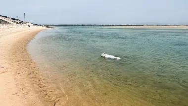 Video | Malowniczy cypel na końcu wyspy Faro - Plaża Barreta