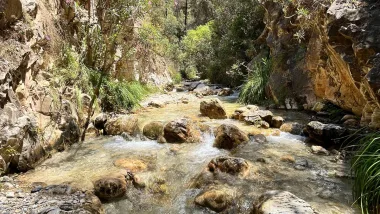 Wędrówka Rzeką Chillar (Rio Chillar) - Nerja