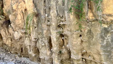 Wędrówka Rzeką Chillar (Rio Chillar) - Nerja