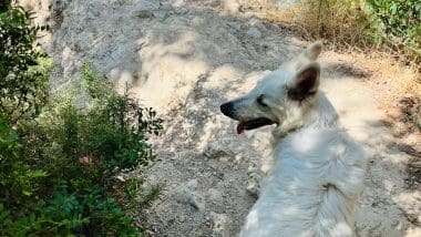 Trekking | Jaen - Rio Borosa