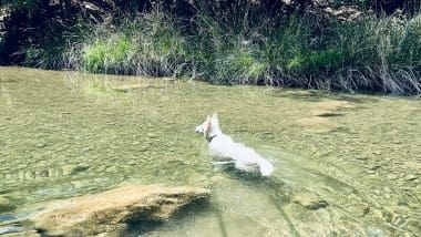 Trekking | Jaen - Rio Borosa