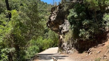 Trekking | Jaen - Rio Borosa