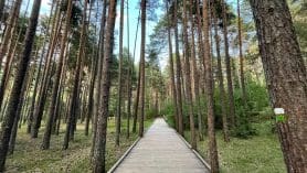 Kamperem Przez Europę, Część 1