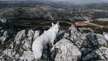 Hike | Pico Huma - spektakularne widoki ze szczytu!