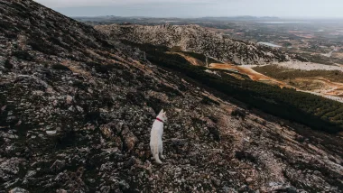 Hike | Pico Huma - Spektakularne Widoki Ze Szczytu!