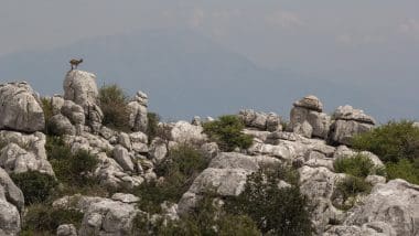 Torcal De Antequera - Surrealistyczne Krajobrazy Rodem Z Innej Planety