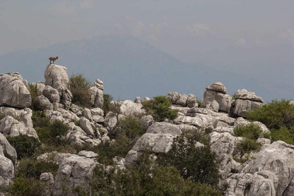 Torcal De Antequera - Surrealistyczne Krajobrazy Rodem Z Innej Planety