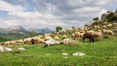 Torcal De Antequera - Surrealistyczne Krajobrazy Rodem Z Innej Planety