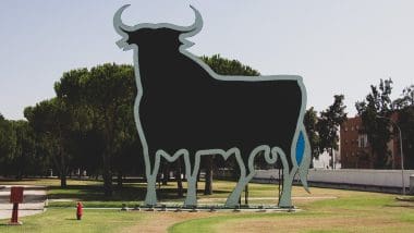 Złap byka za rogi - andaluzyjskie symbole