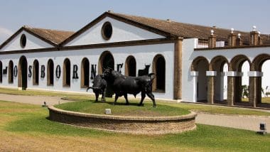 Złap byka za rogi - andaluzyjskie bycze symbole