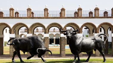 Złap byka za rogi - andaluzyjskie symbole