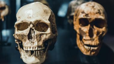 Parque De Las Ciencias - Interaktywna Podróż Do Świata Nauki