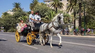 Malaga, miasto słońca i kultury. Odkryj jej urok i poznaj największe atrakcje