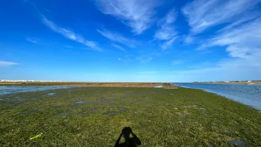 Cataplana - tradycyjna potrawa kuchni Portugalskiej