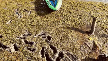 Cataplana - Tradycyjna Potrawa Kuchni Portugalskiej