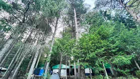 Kempingi W Portugalii - Kamping Pião W Serra Da Estrela