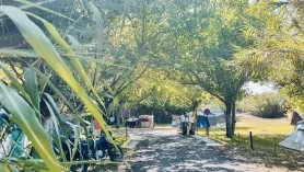Kempingi W Portugalii - Camping Costa Nova