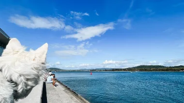 Viana Do Castelo - Jedna Z Najpiękniejszych Miejscowości W Portugalii!