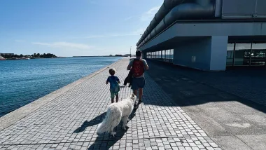 Viana Do Castelo - Jedna Z Najpiękniejszych Miejscowości W Portugalii!