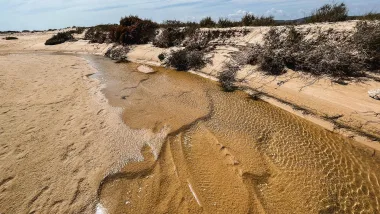 Odkrywaj Wyspy Algarve. Przeprawa na Ilha Armona