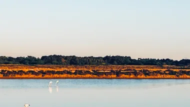 Park Ludo Trail. Przyrodnicze Skarby Algarve