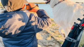 Video przyrodnicze. Ptaki i natura Algarve. Ludo Trail, Faro