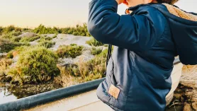 Video Przyrodnicze. Ptaki I Natura Algarve. Ludo Trail, Faro