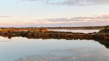 Park Ludo Trail. Przyrodnicze Skarby Algarve