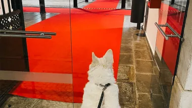Tavira. Oaza Spokoju I Piękna Na Wschodnim Algarve!