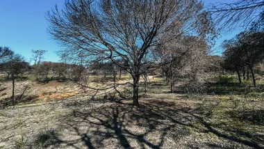 Park Ludo Trail. Przyrodnicze Skarby Algarve