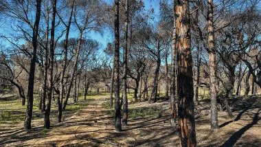 Park Ludo Trail. Przyrodnicze Skarby Algarve