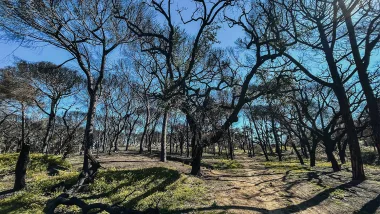 Park Ludo Trail. Przyrodnicze Skarby Algarve