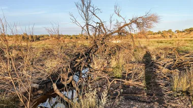 Park Ludo Trail. Przyrodnicze Skarby Algarve