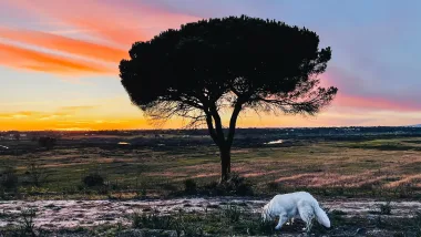 Park Ludo Trail. Przyrodnicze Skarby Algarve