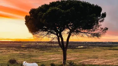 Park Ludo Trail. Przyrodnicze Skarby Algarve