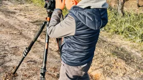 Video Przyrodnicze. Ptaki I Natura Algarve. Ludo Trail, Faro