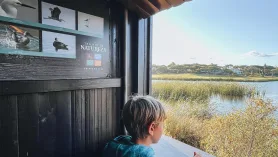 Video przyrodnicze. Ptaki i natura Algarve. Ludo Trail, Faro