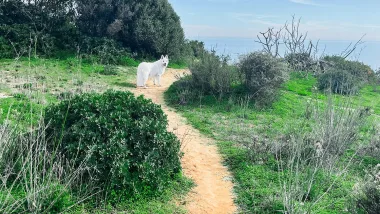 Burgau. Miasteczka Algarve