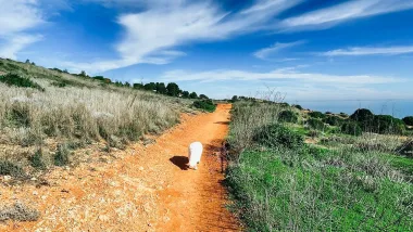 Burgau. Miasteczka Algarve