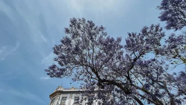 Faro - historia i atrakcje stolicy regionu Algarve!